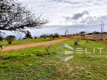 Venta / Terreno Agricola / Quillota