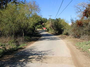 Imagen 22