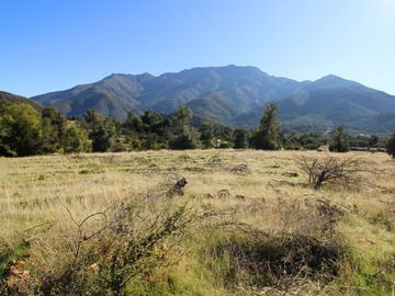 Venta / Terreno Agricola / Quilpué
