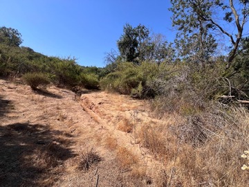 Venta / Terreno Agricola / Quilpué