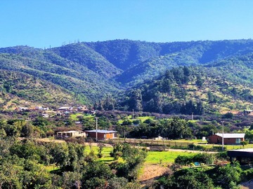 Venta / Terreno Agricola / Quilpué