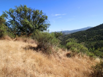 Venta / Terreno Agricola / Quilpué