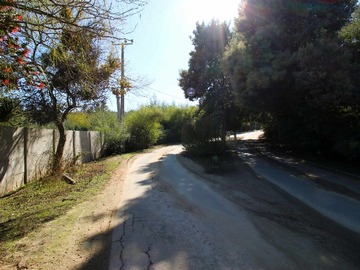 Imagen 23