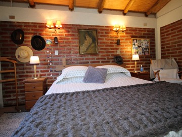 Imagen 11