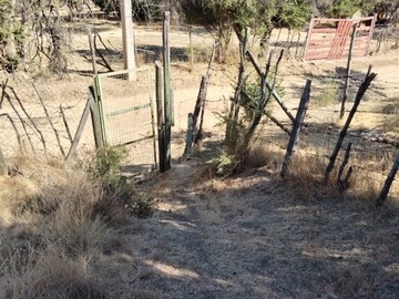 Imagen 9