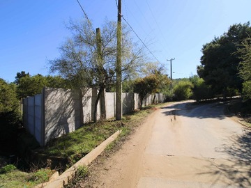 Imagen 21