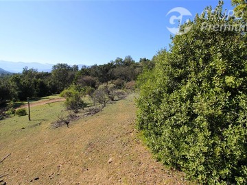Imagen 28