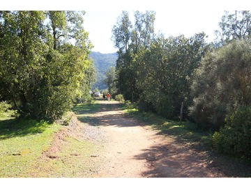 Venta / Terreno Agricola / Quilpué