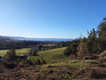 Venta / Terreno Agricola / Quinchao