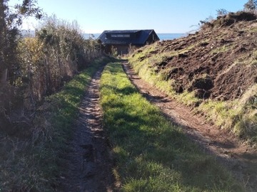 Imagen 3