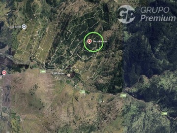 Venta / Terreno Agricola / Rauco