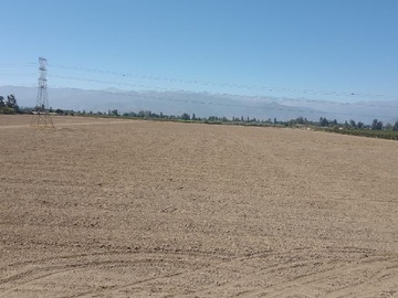 Venta / Terreno Agricola / Rengo