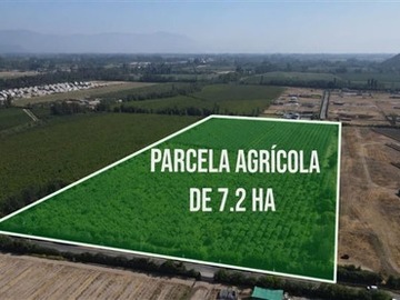 Venta / Terreno Agricola / Requínoa