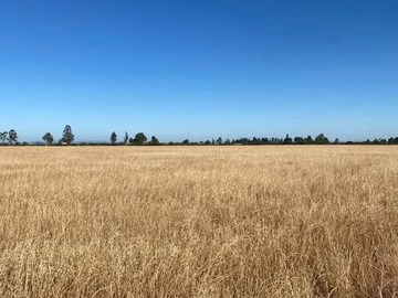 Venta / Terreno Agricola / Retiro