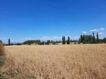 Venta / Terreno Agricola / Retiro