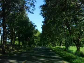 Imagen 5