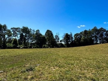 Venta / Terreno Agricola / Río Bueno