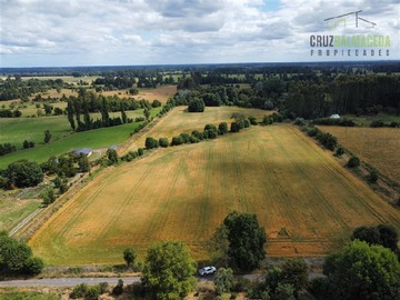 Venta / Terreno Agricola / Río Bueno