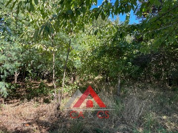 Venta / Terreno Agricola / Río Bueno