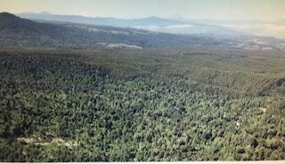 Venta / Terreno Agricola / Río Bueno