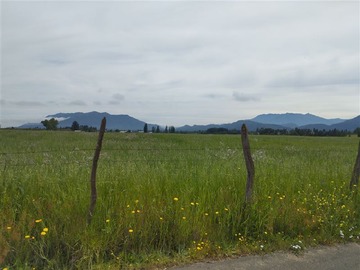 Venta / Terreno Agricola / Río Claro