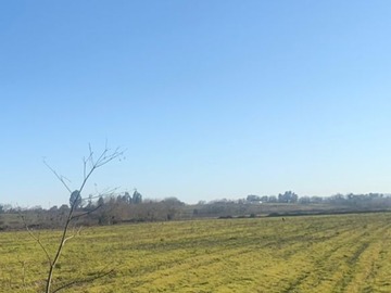Venta / Terreno Agricola / Río Claro