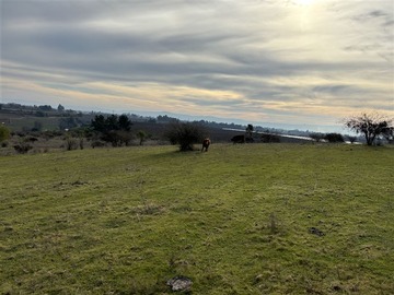 Venta / Terreno Agricola / Río Claro