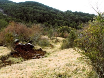 Imagen 5