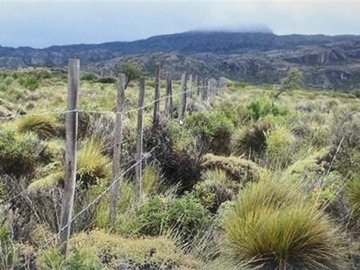Imagen 6