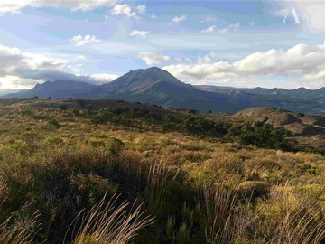 Venta / Terreno Agricola / Río Ibáñez