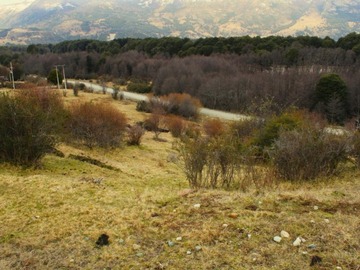 Imagen 8