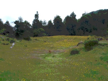Imagen 4