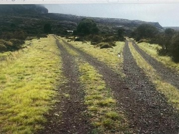 Imagen 5