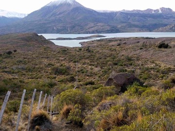 Venta / Terreno Agricola / Río Ibáñez