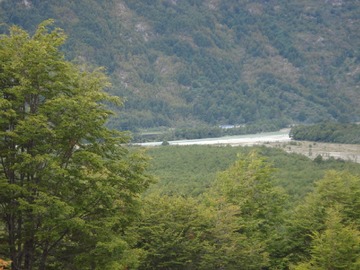 Venta / Terreno Agricola / Río Ibáñez
