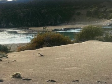 Imagen 4