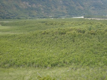 Imagen 6