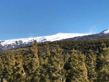 Venta / Terreno Agricola / Río Ibáñez