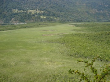 Imagen 7