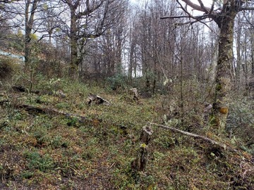 Venta / Terreno Agricola / Río Ibáñez