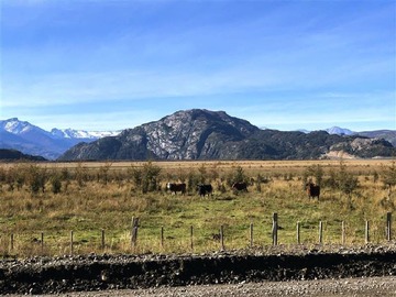 Venta / Terreno Agricola / Río Ibáñez