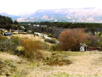 Imagen 9