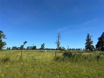 Venta / Terreno Agricola / Río Negro