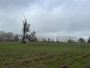 Venta / Terreno Agricola / Río Negro