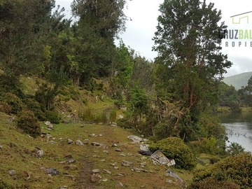 Imagen 18