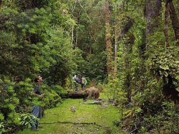 Imagen 10