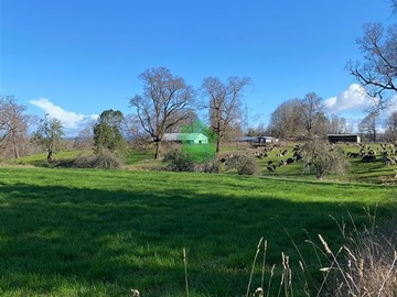 Venta / Terreno Agricola / Río Negro
