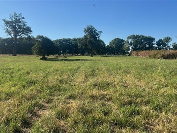 Venta / Terreno Agricola / Río Negro