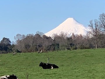 Venta / Terreno Agricola / Río Negro
