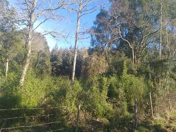 Venta / Terreno Agricola / Río Negro